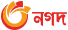 nagad logo